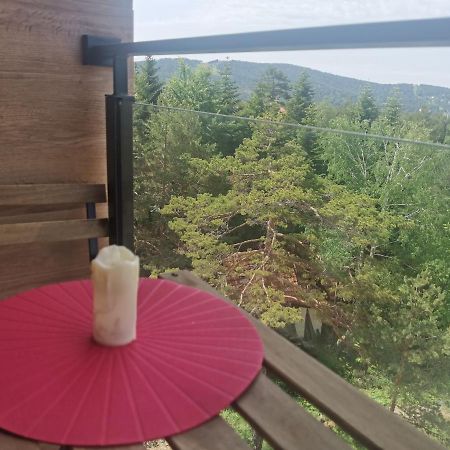 Divcibare Planinski Mir A19 Kültér fotó