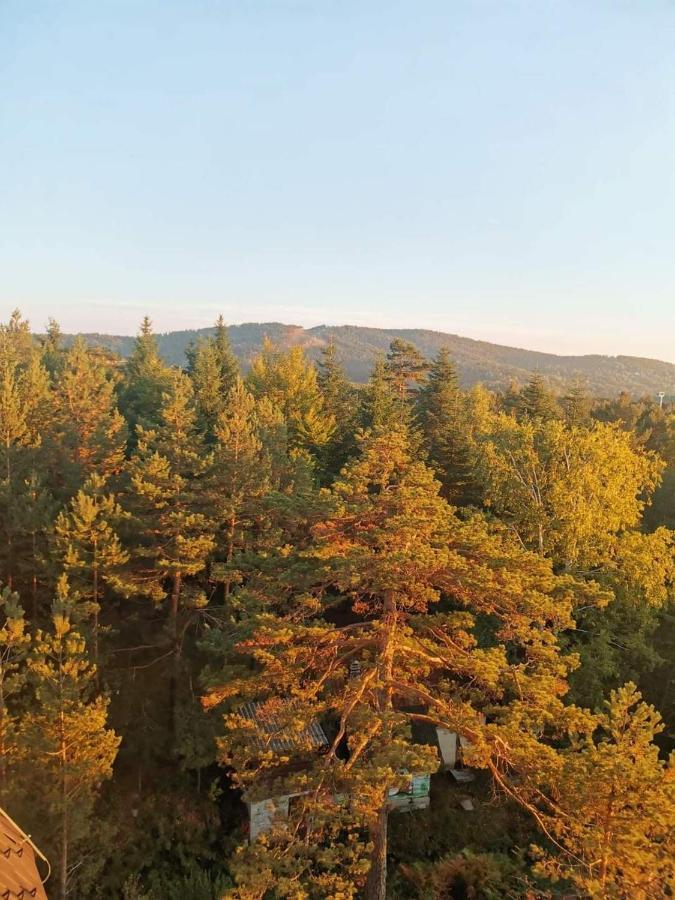 Divcibare Planinski Mir A19 Kültér fotó
