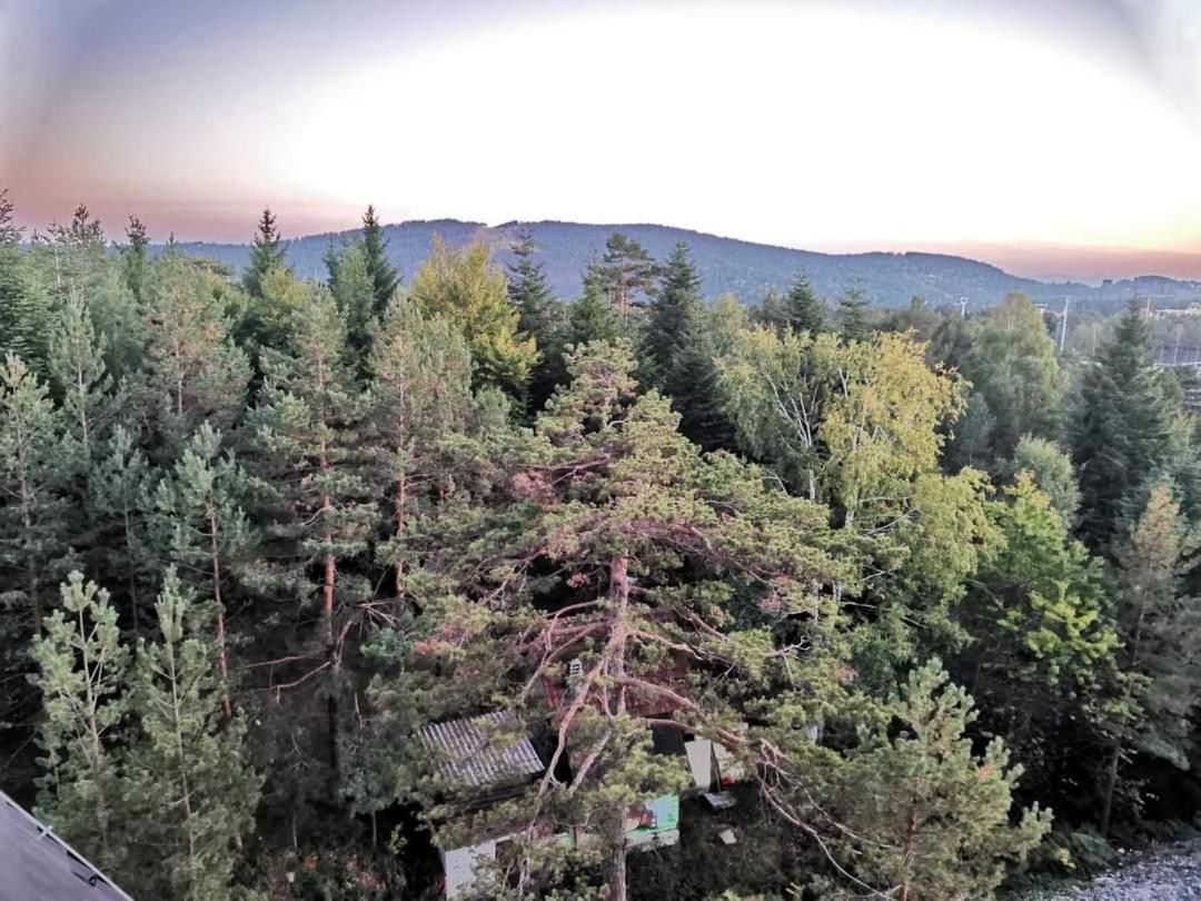 Divcibare Planinski Mir A19 Kültér fotó